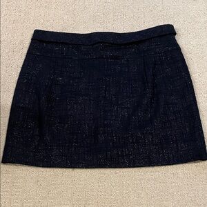 J. Crew Navy Skirt